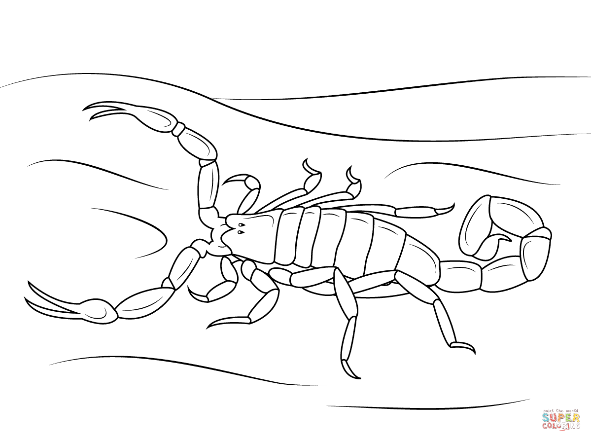Skorpion kolorowanki